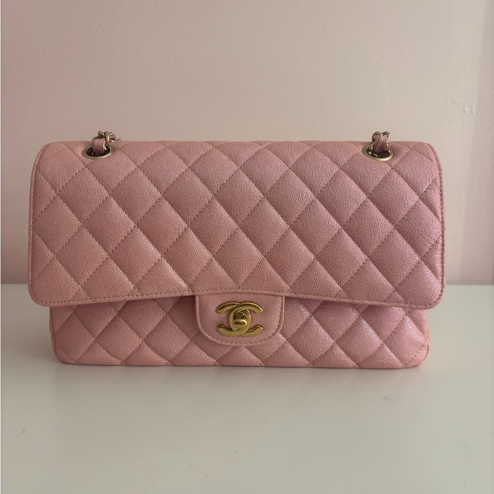Chanel 19s iridescent Pink medium classic flap